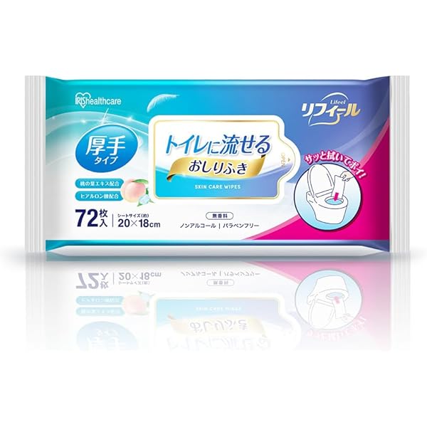 大王製紙　エリエール　トイレに流せるおしりふき　48個セット 大王製紙 エリエール トイレに流せるおしりふき 48個セット LEC